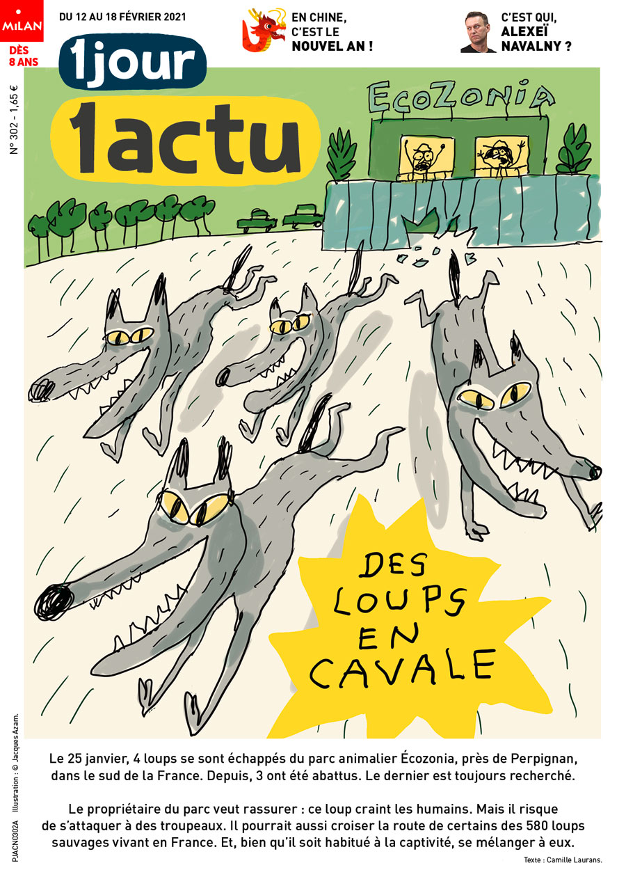 Couverture 1jour1actu 302 Loups