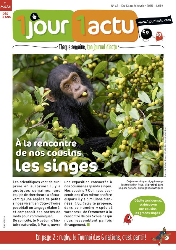 couv 1jour1actu 63 Singes