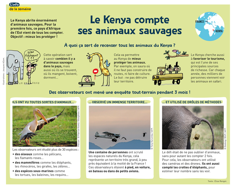 Info de la semaine 1j1a 324 Kenya Animaux