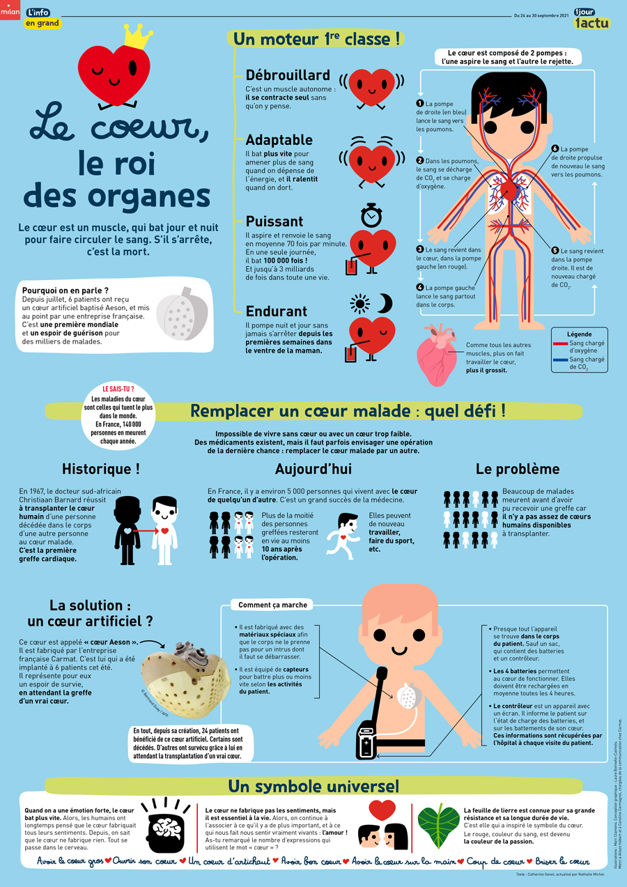 Poster 1jour1actu 324 Coeur