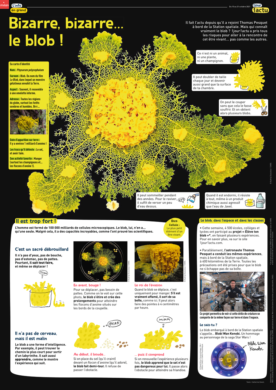 Poster 1jour1actu 327 Blob