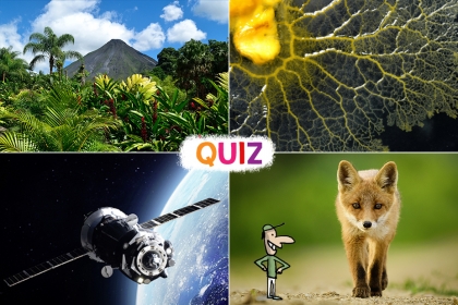 Quiz noël 2021