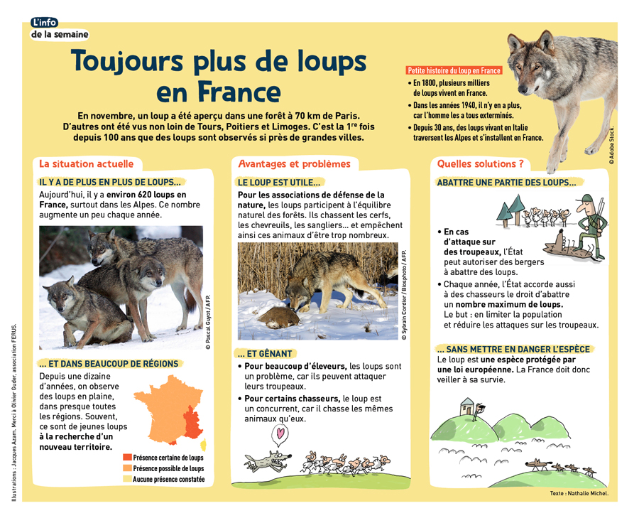 1jour1actu 334 Loup