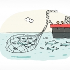 Un bateau de pêche est en train de prendre dans ses filets des poissons et un dauphin.