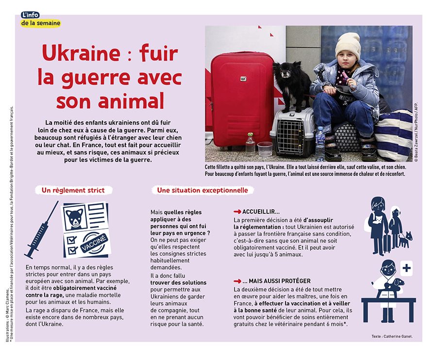 ukraine animaux