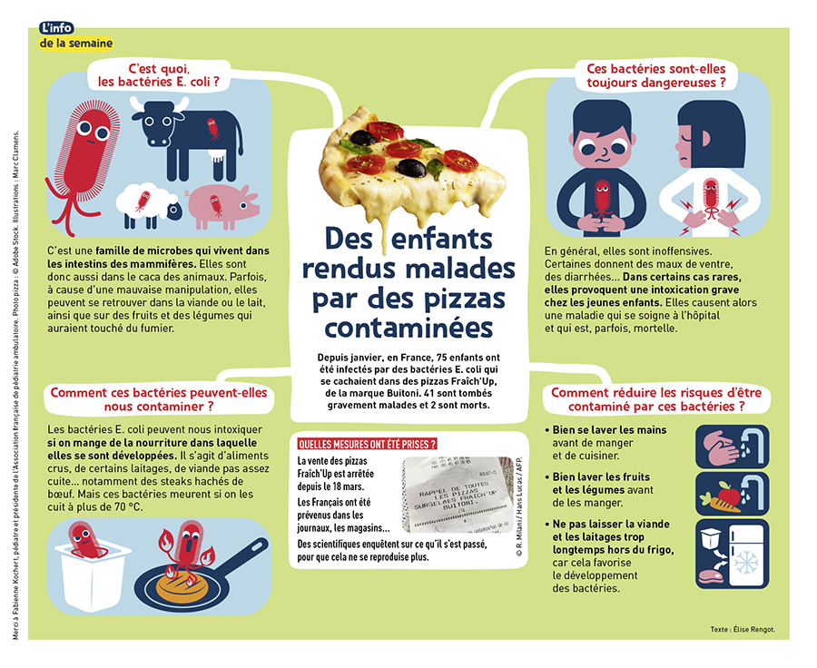 info-semaine-349-bacterieEColi