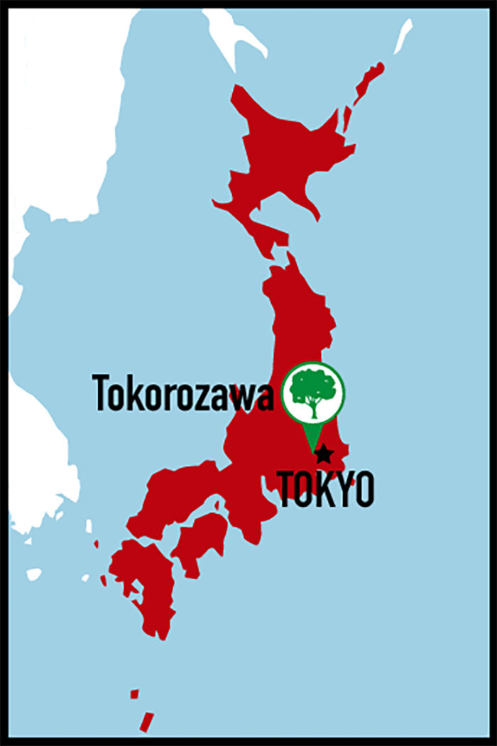 carte Japon forêt Totoro