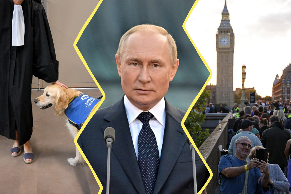 3 photos en une : à gauche un chien dans un tribunal, au cnetre Vladimir Poutine et à droite une foule à Londres