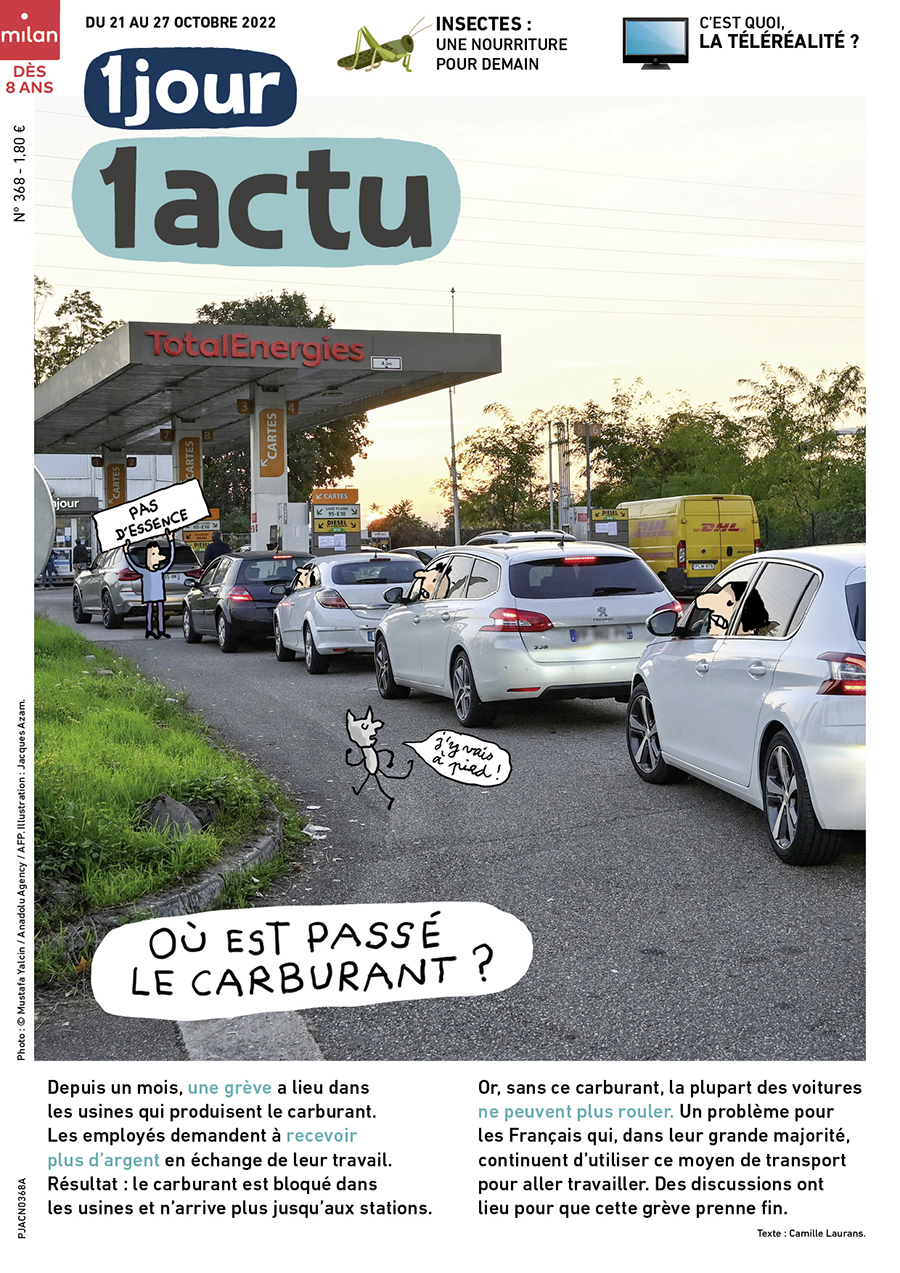 1J1A_368_une_curburant-insectes