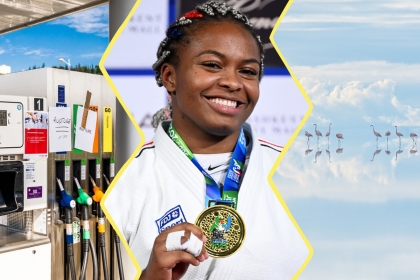 une pompe à essence, une joueuse de judo arborant sa médaille d'or et une photo de flamants roses