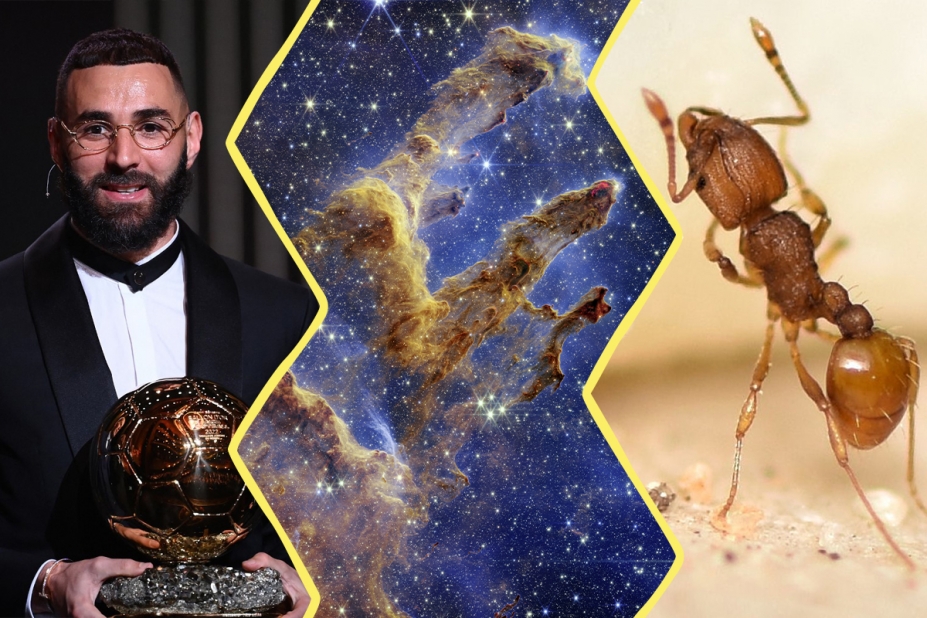 une image constituée de 3 photos : Karim Bezema, les pilliers de la créations photographiés par James Webb et une fourmi électrique