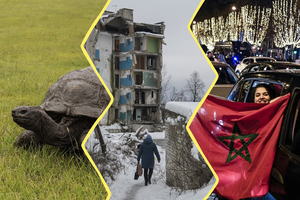 Image en trois parties. À gauche la tortue Jonathan, au centre l'Ukraine sous la neige, à droite une supportrice tenant le drapeau marocain