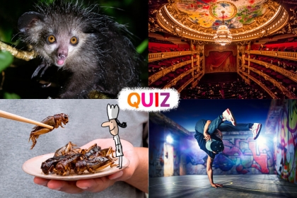 quiz 1jour1actu