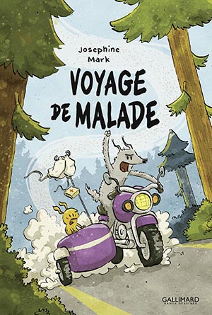 BD Voyage de malade