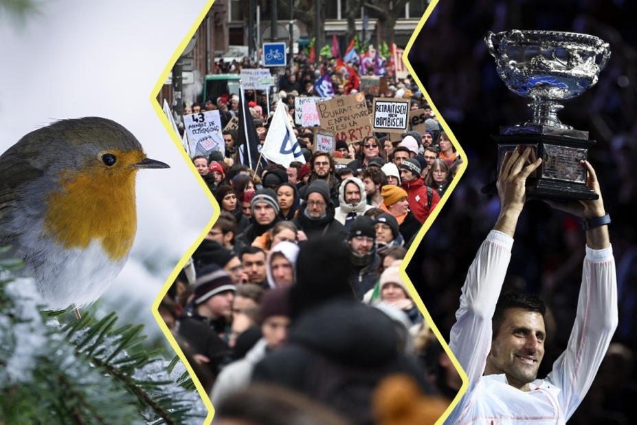Image en trois parties. À gauche un rouge gorge, au centre une photo d'une manifestation contre la réforme des retraites, et à droite Djokovic portant son trophée