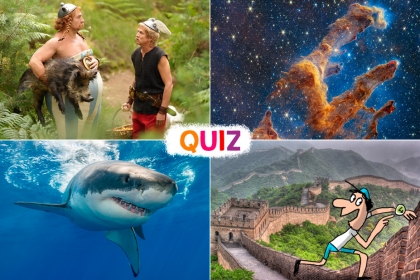 quiz 1jour1actu