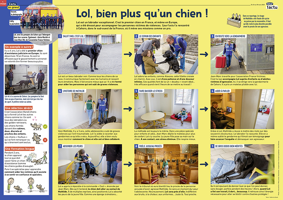 1J1A_387_poster_chien-Lol