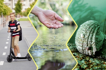 Image faite de 3 photos. À gauche : un enfant sur une trottinette électrique. Au centre : une main puisant dans une étendue d'eau. À droite : un mollusque dans sa coquille.