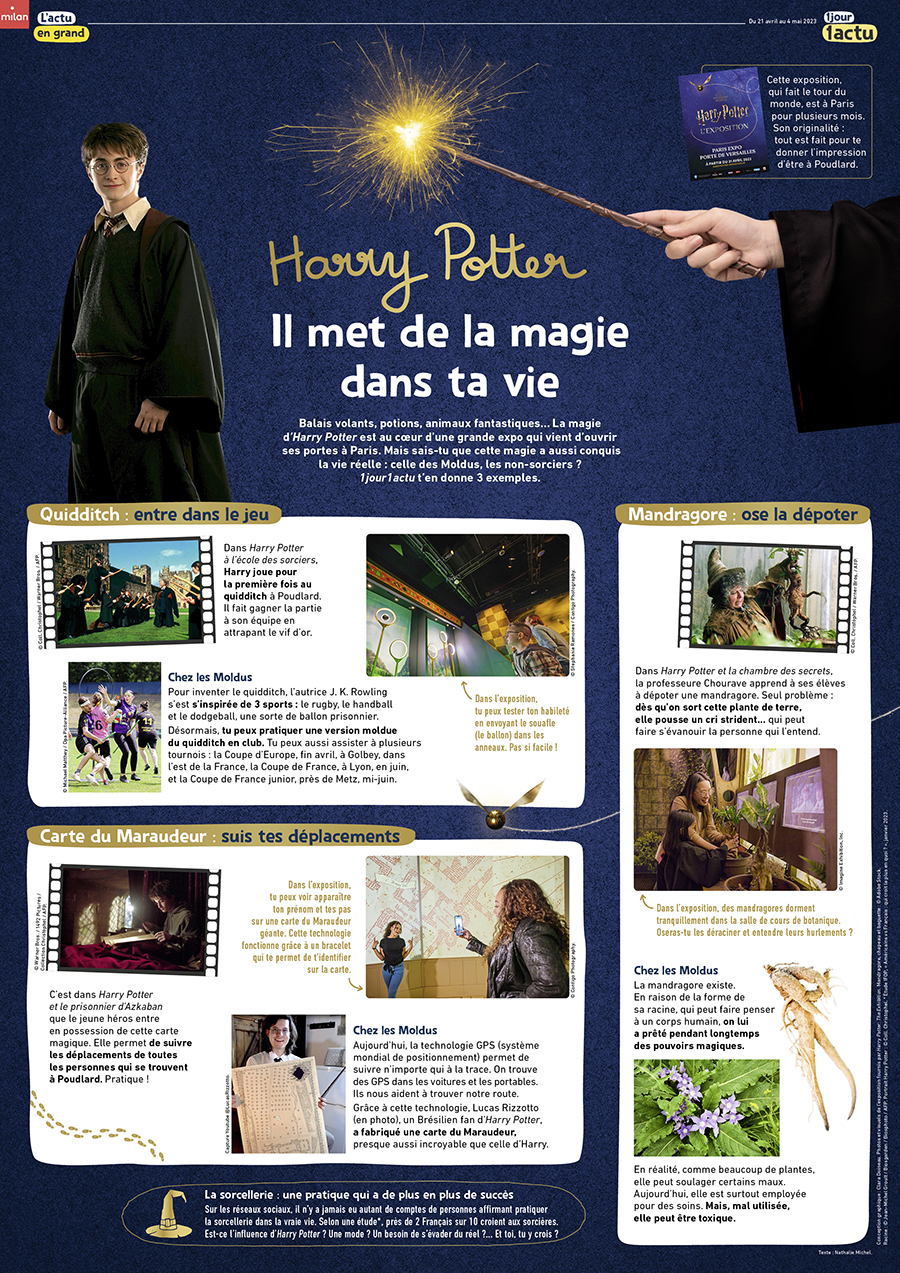 1J1A_391_poster_HarryPotter