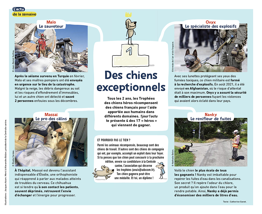 1J1A_395_adls_chiens-heros