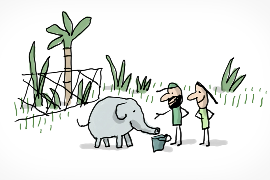 Un éléphant dans son enclos avec deux soigneurs.