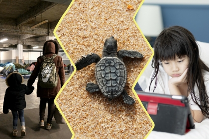 Image composée de 3 photos. À gauche : un parent et son enfant de dos dans un campement de sans abris installés dans un parking. Au centre : un bébé tortue sur le sable. À droite : une enfant devant une tablette.