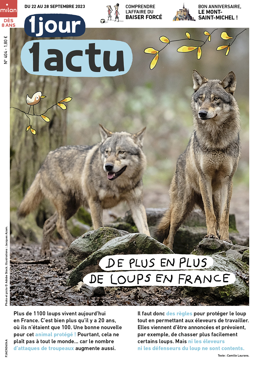 1J1A_404_une_loups_mont