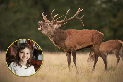 Catherine, 9 ans, adore écouter le cerf bramer…