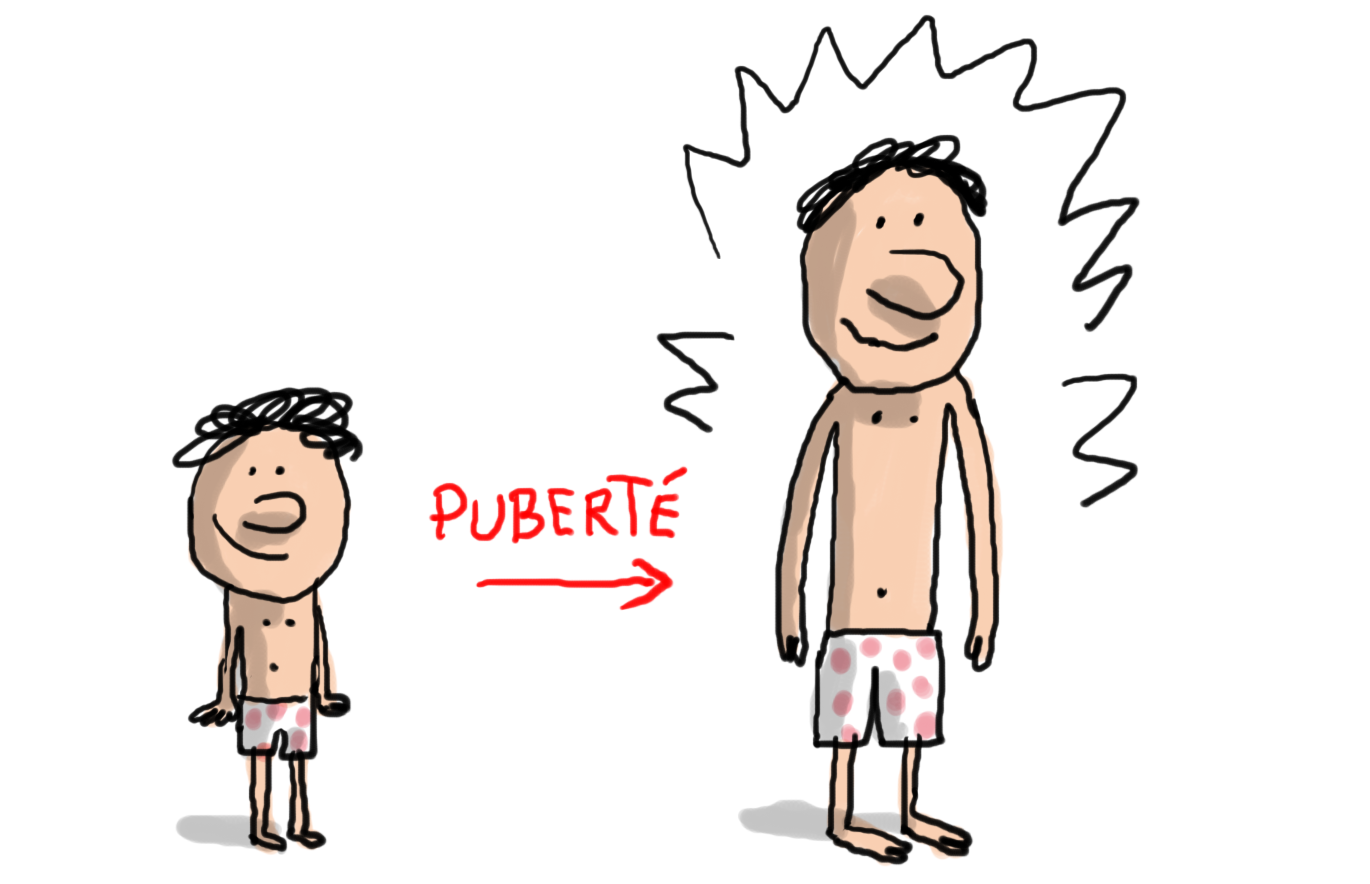 189-01-puberte.png