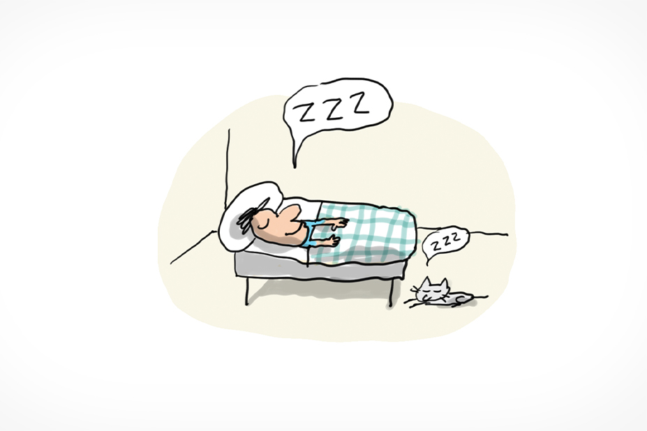 Why do you need to sleep?  – 1jour1actu.com