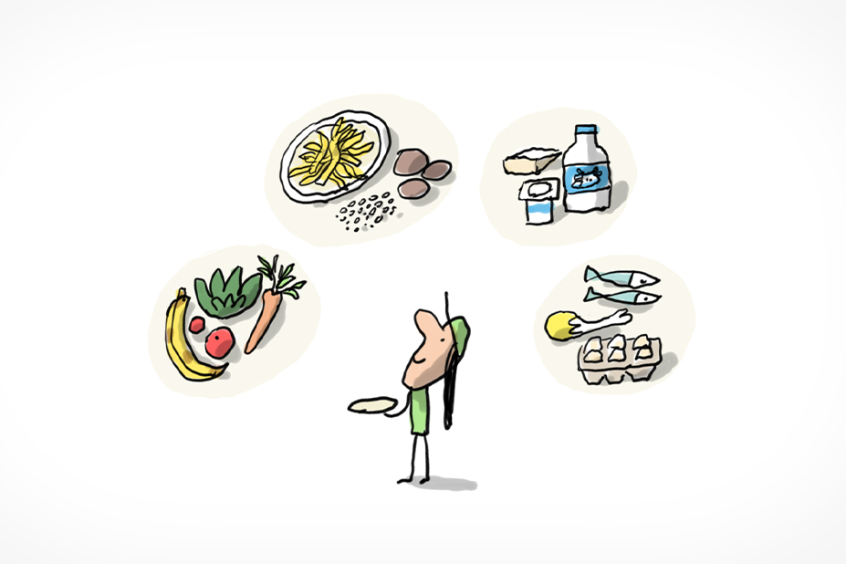 Un enfant observe les différents aliments qu'il peut manger pour composer son repas équilibré : des fruits et légumes, des féculents comme des pommes de terre, des laitages ou encore de la viande ou du poisson.