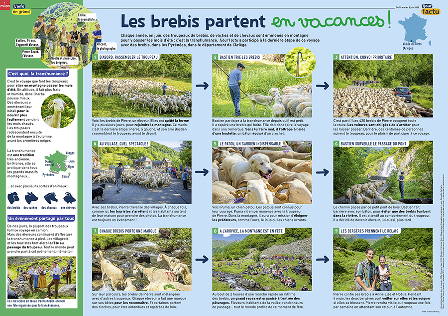 1J1A_473_poster_transhumance