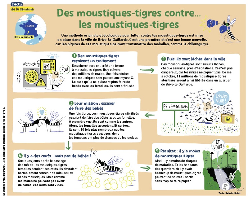 1J1A_adls_moustiques-ok