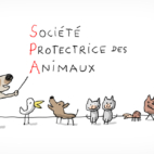 Un chien montre l'explication des initiales SPA qui veulent dire : Société Protectrice des Animaux.
