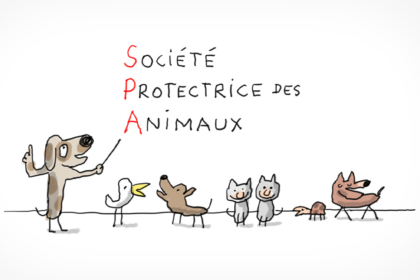 Un chien montre l'explication des initiales SPA qui veulent dire : Société Protectrice des Animaux.