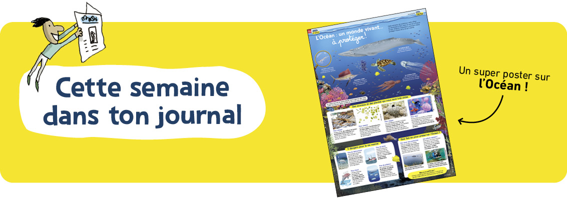 visuel montrant un article issu du journal papier 1jour1actu parlant des océans comme d'un monde vivant à protéger.