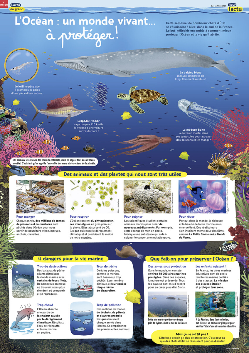 1J1A_476_poster_protection-oceans