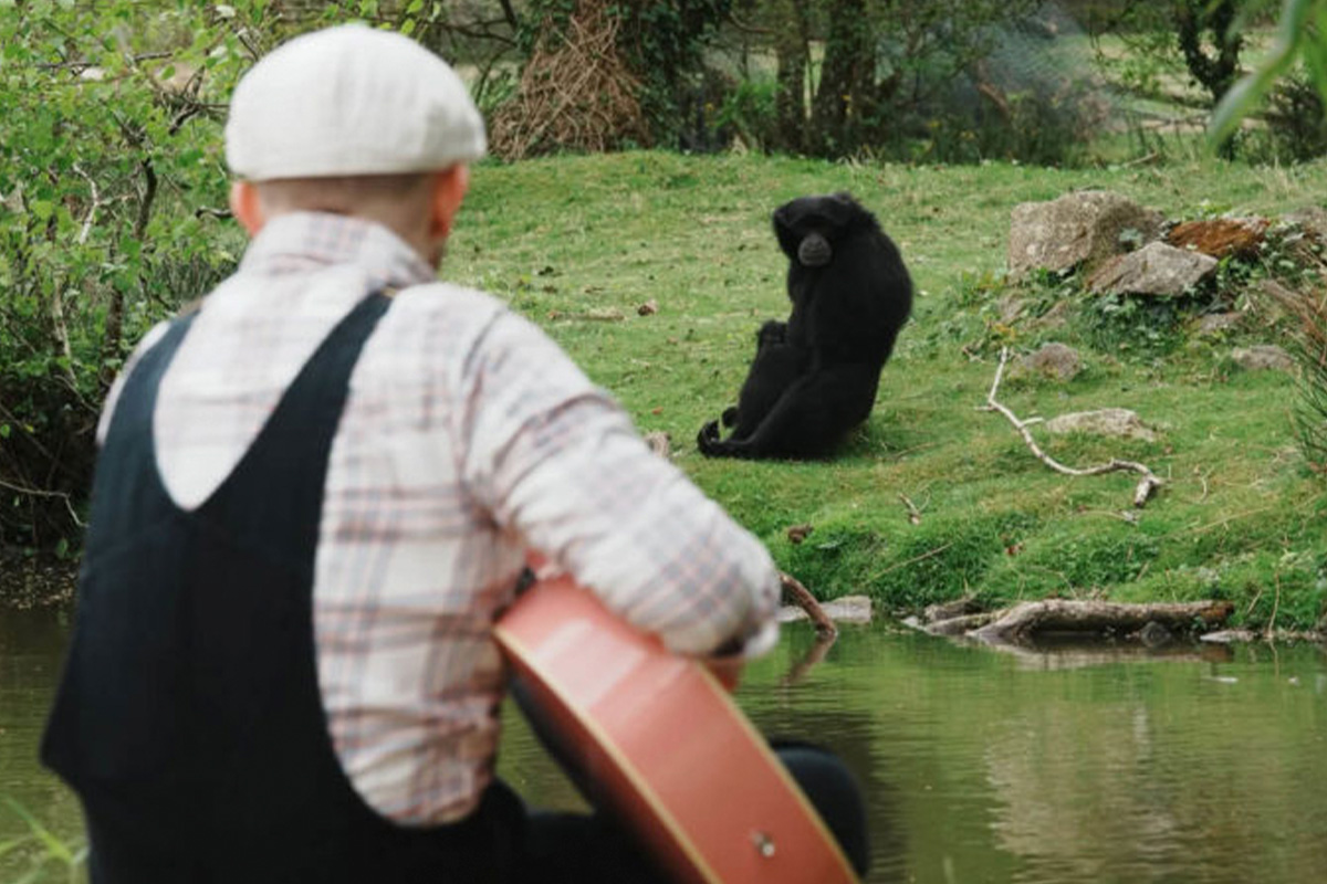 Un homme qui joue de la guitare devant un gorille dans un zoo
