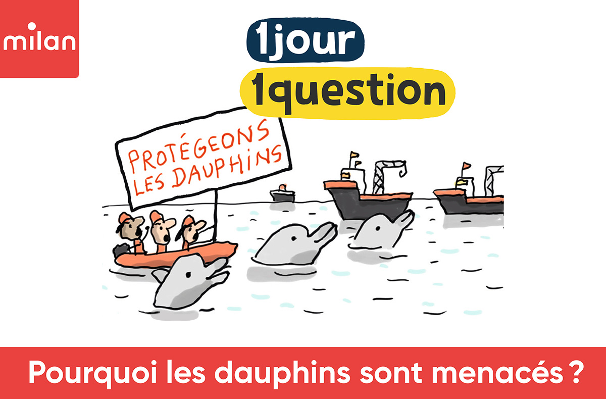 Illustration de dauphins regardant des gros bateaux. À leur côté, un petit bateau avec des défenseurs de l'environnement qui tiennent une pancarte "Protégeons les dauphins"