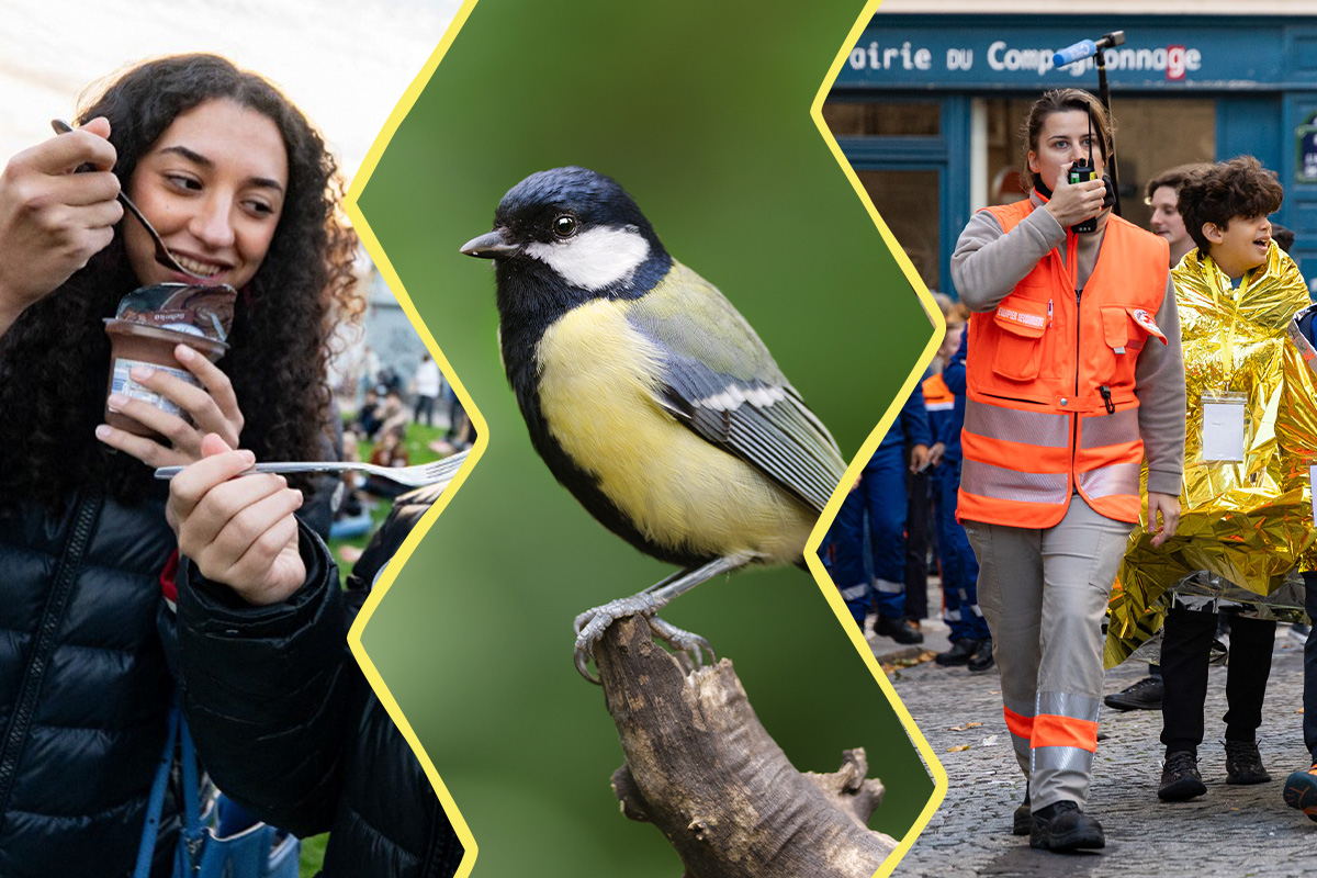 Image constituée de 3 photos. À gauche : une jeune fille mangeant une crème dessert à la fourchette. Au centre : une mésange charbonnière. À droite : une secouriste accompagnant un enfant portant une couverture de survie)