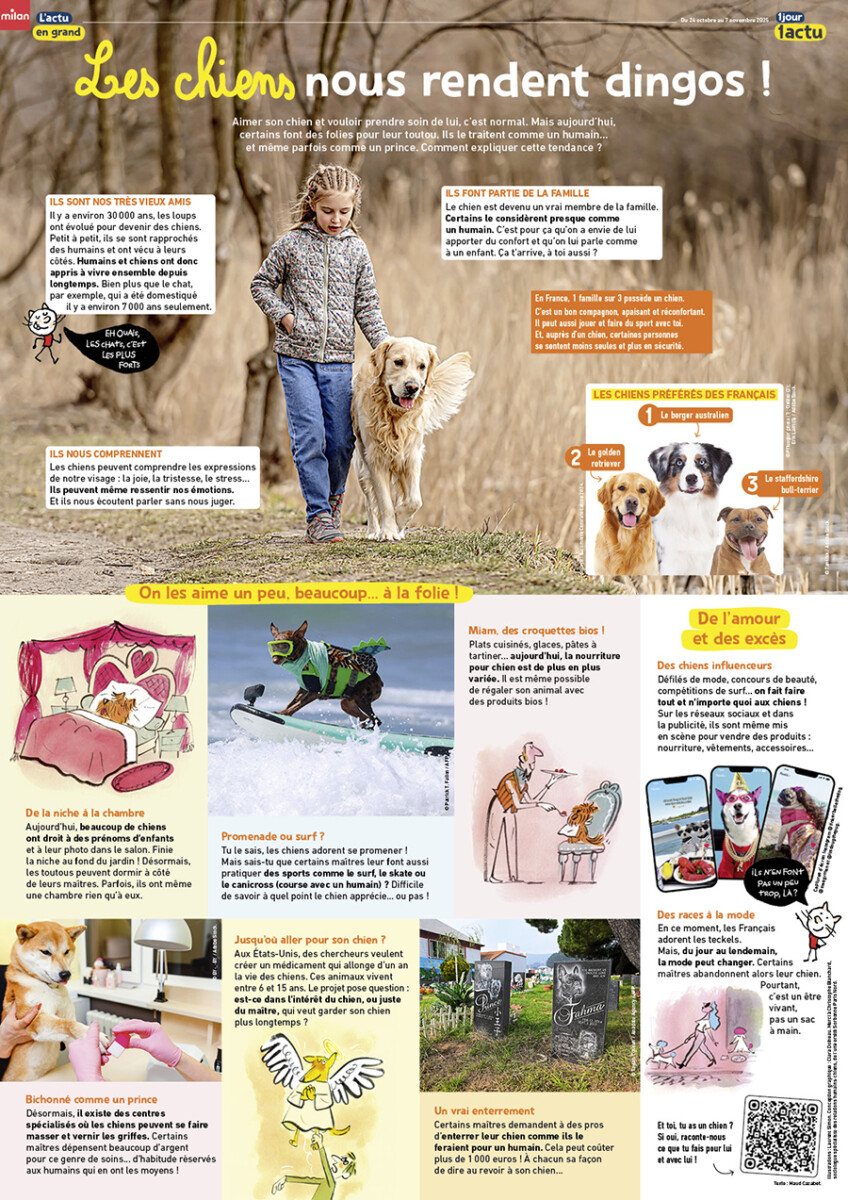 Poster numéro 489 sur les chiens