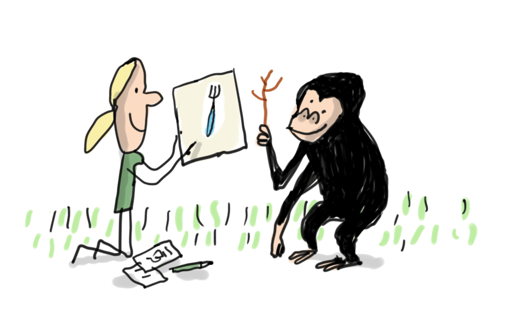Gif illustré montrant Jane Goodall montrant une fourchette dessinnée à un champanzé qui lui montre sa baguette en bois.