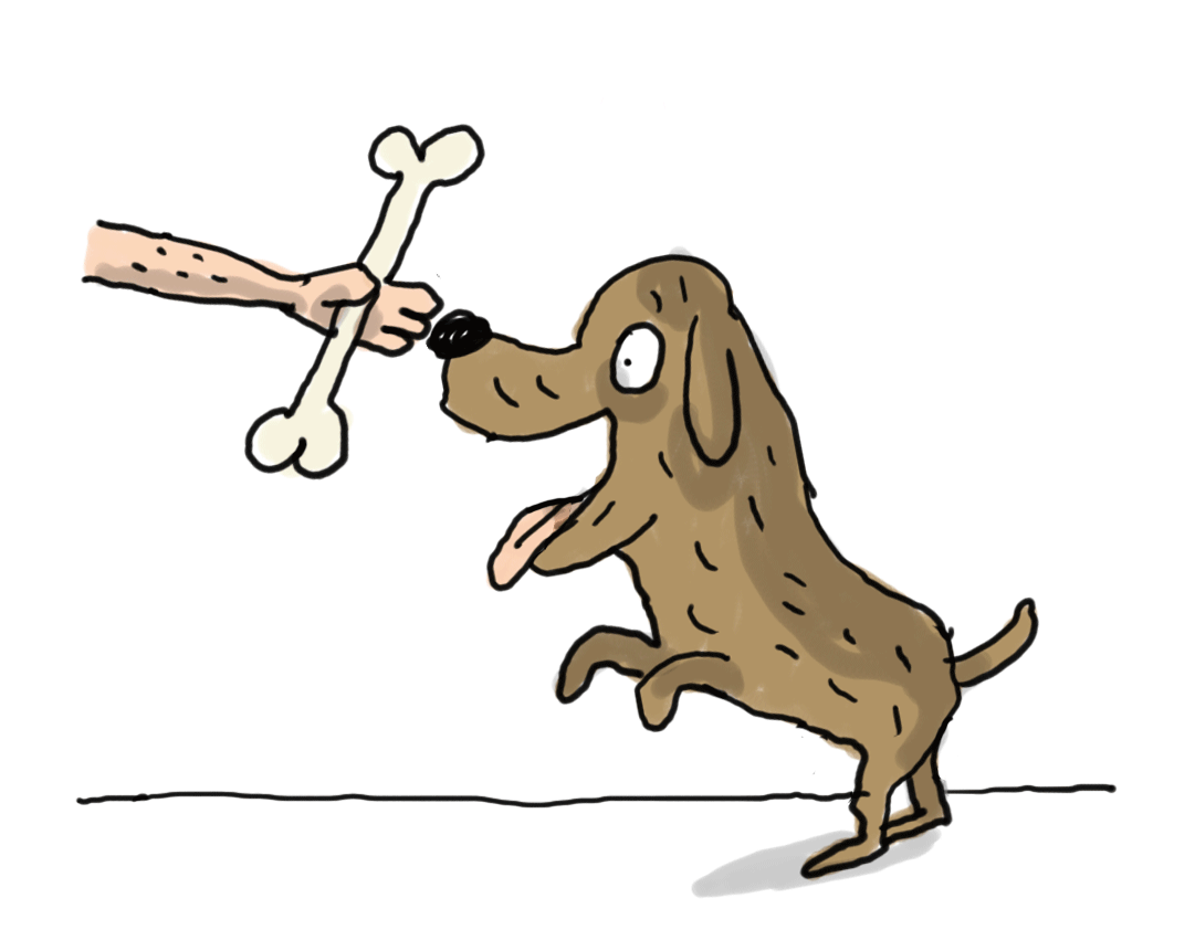 GIF d'un chien voulant manger une friandise.