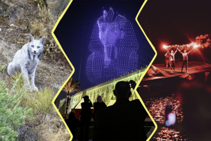 Image constituée de 3 photos. À gauche : le lynx blanc. Au centre: l'inauguration du grand musée du Caire avec le masque de Toutankhamon en drones lumineux. À droite : les navigateurs arrivant sur leur bateau.