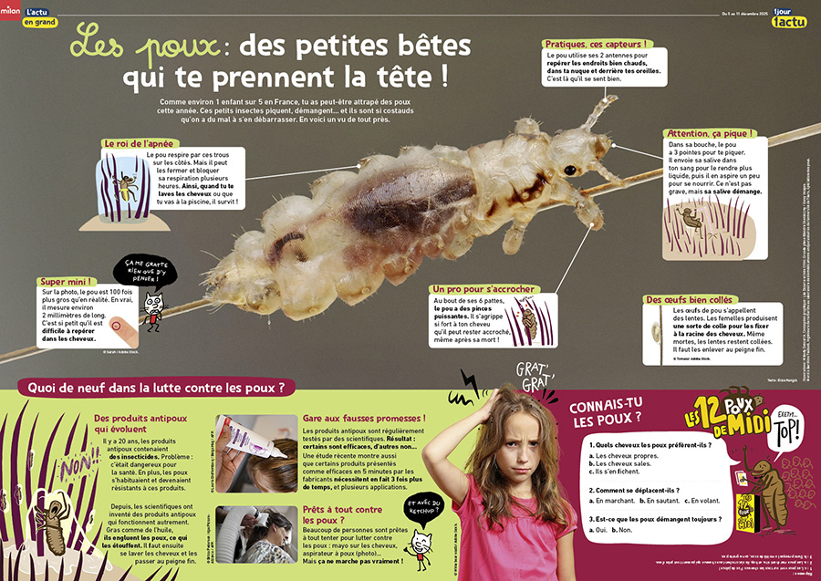 Poster sur les poux.