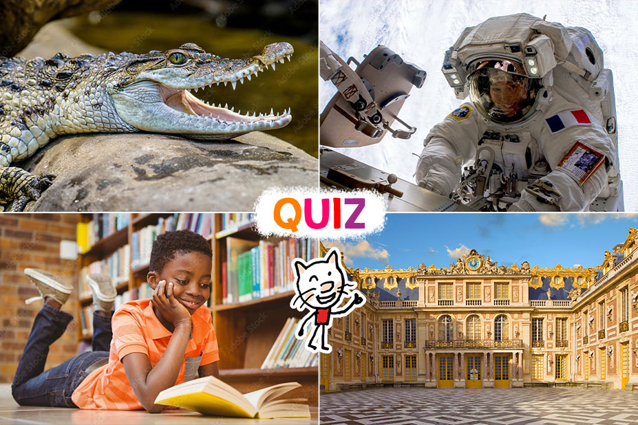 1J1A_Quiz_octobre_26.jpg